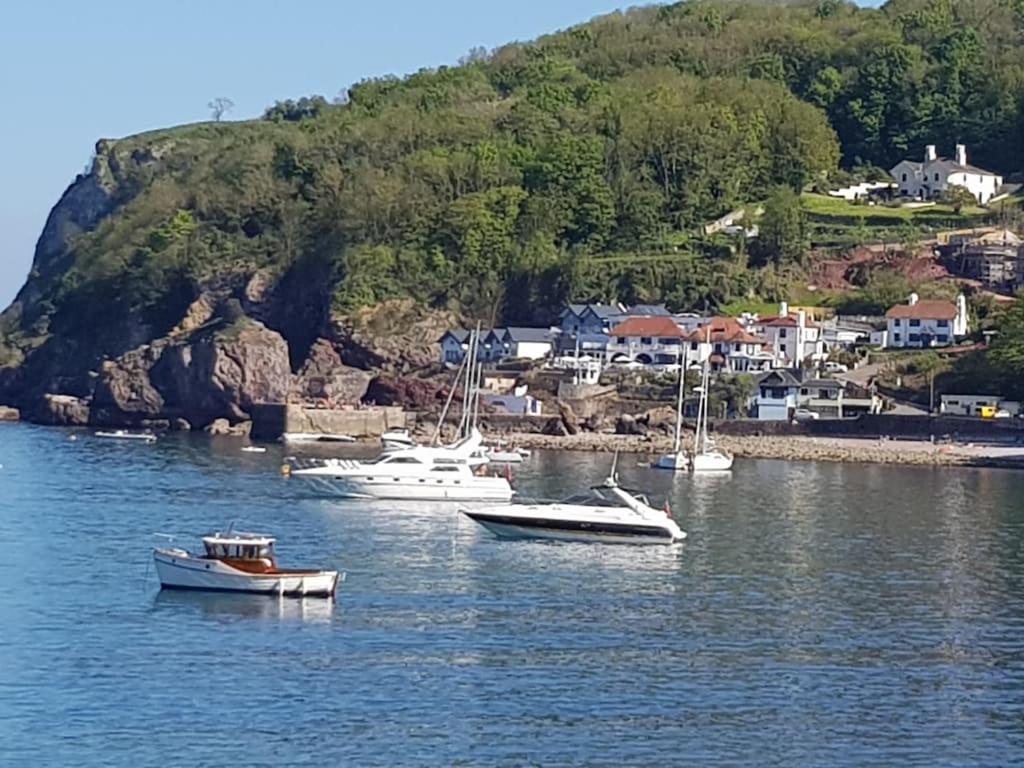 Caldon Holiday Chalet Sleeps 4 In Dartmouth Wifi Electric Inc Pet Friendly Exteriér fotografie